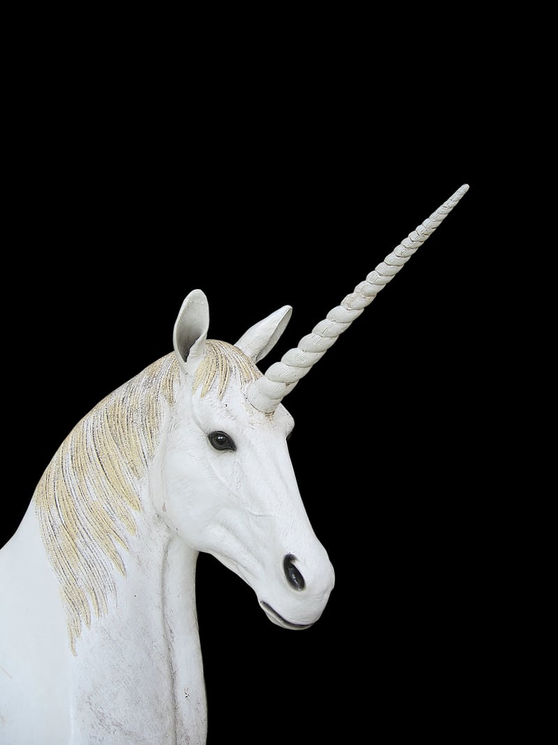 Unicorn Habitat 2