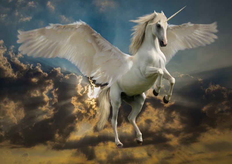 Unicorn Habitat